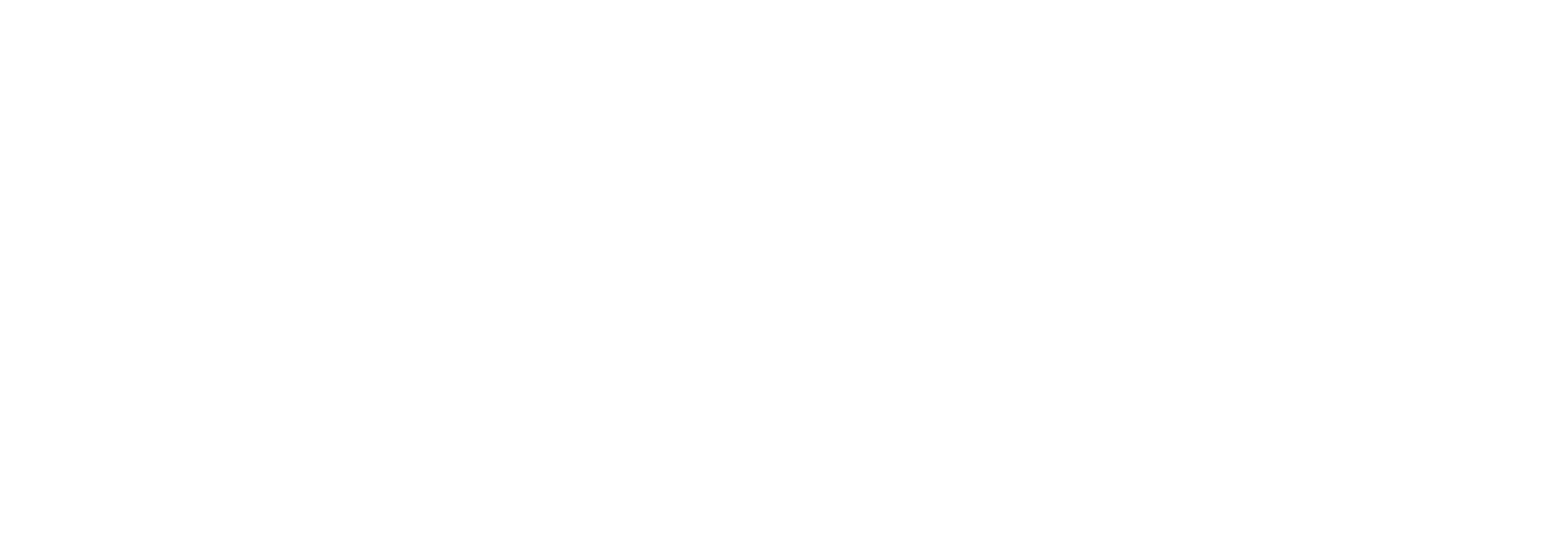 Logo 911myweb Orlando