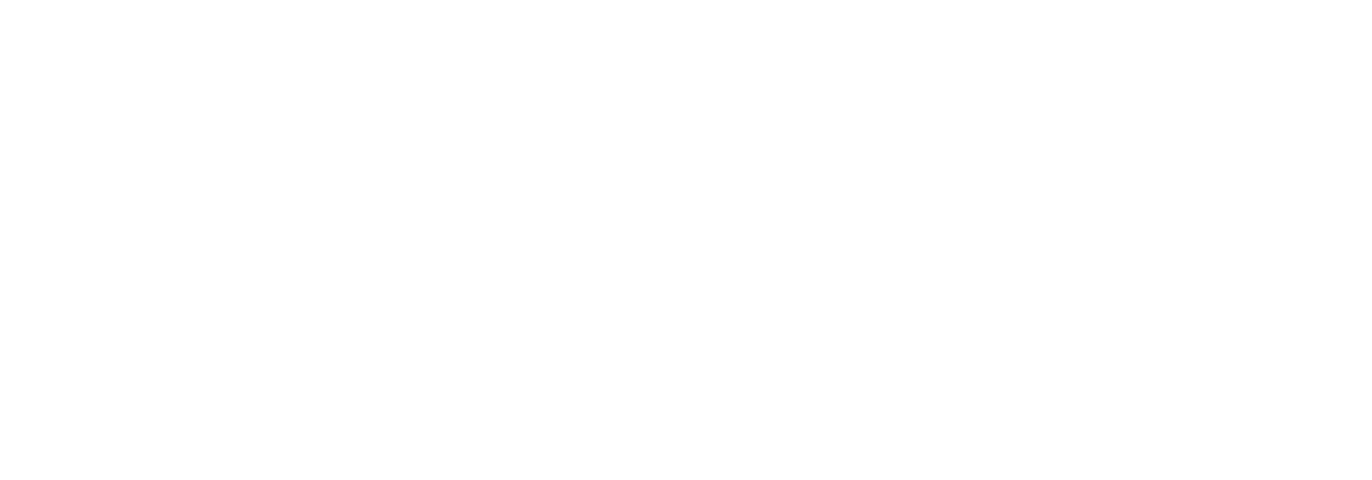 Logo 911myweb Tampa